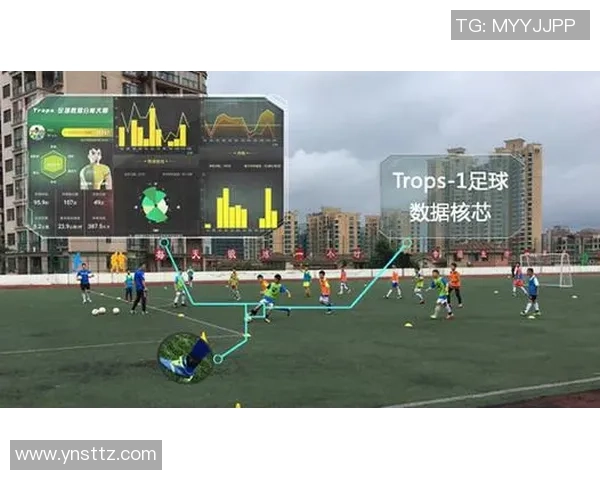 仿真球星制作足球的技术与工艺探究及其应用前景分析