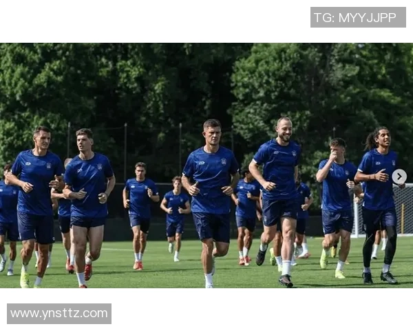 新西兰足球历史十大球星排名及其成就回顾