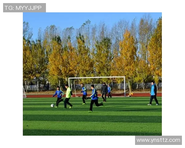 黔东南苗岭足球星耀：助力足球文化传承与区域发展新篇章